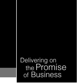 delivering on the promise of business