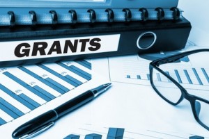 Government Grant for business